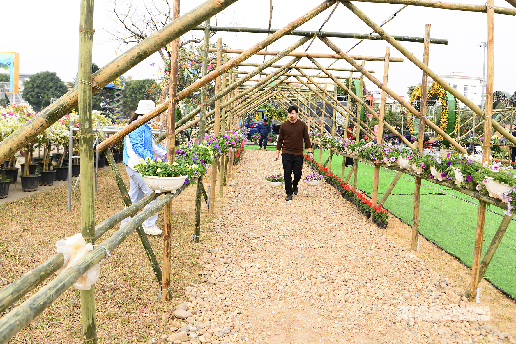 Festival hoa Mê Linh sẵn sàng chào đón du khách- Ảnh 10.