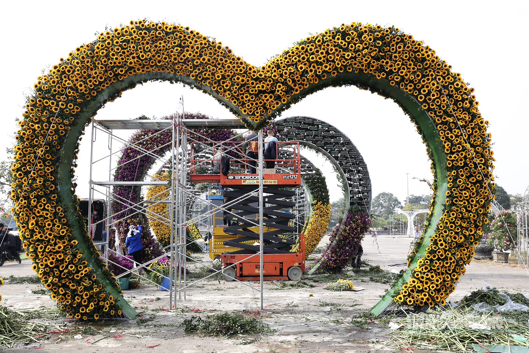 Festival hoa Mê Linh sẵn sàng chào đón du khách- Ảnh 3.