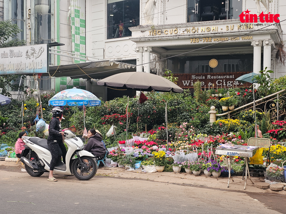 Thưa thớt khách tìm mua cây cảnh chơi Tết- Ảnh 17.