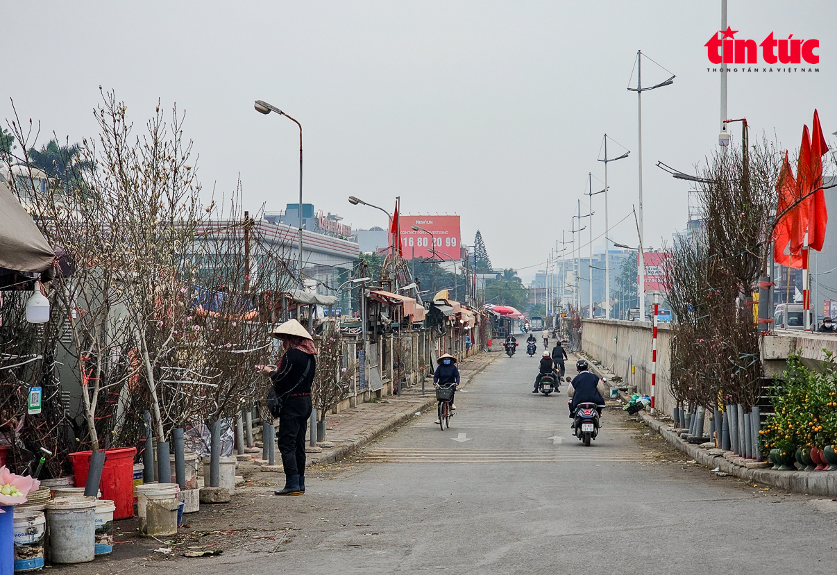 Thưa thớt khách tìm mua cây cảnh chơi Tết- Ảnh 12.