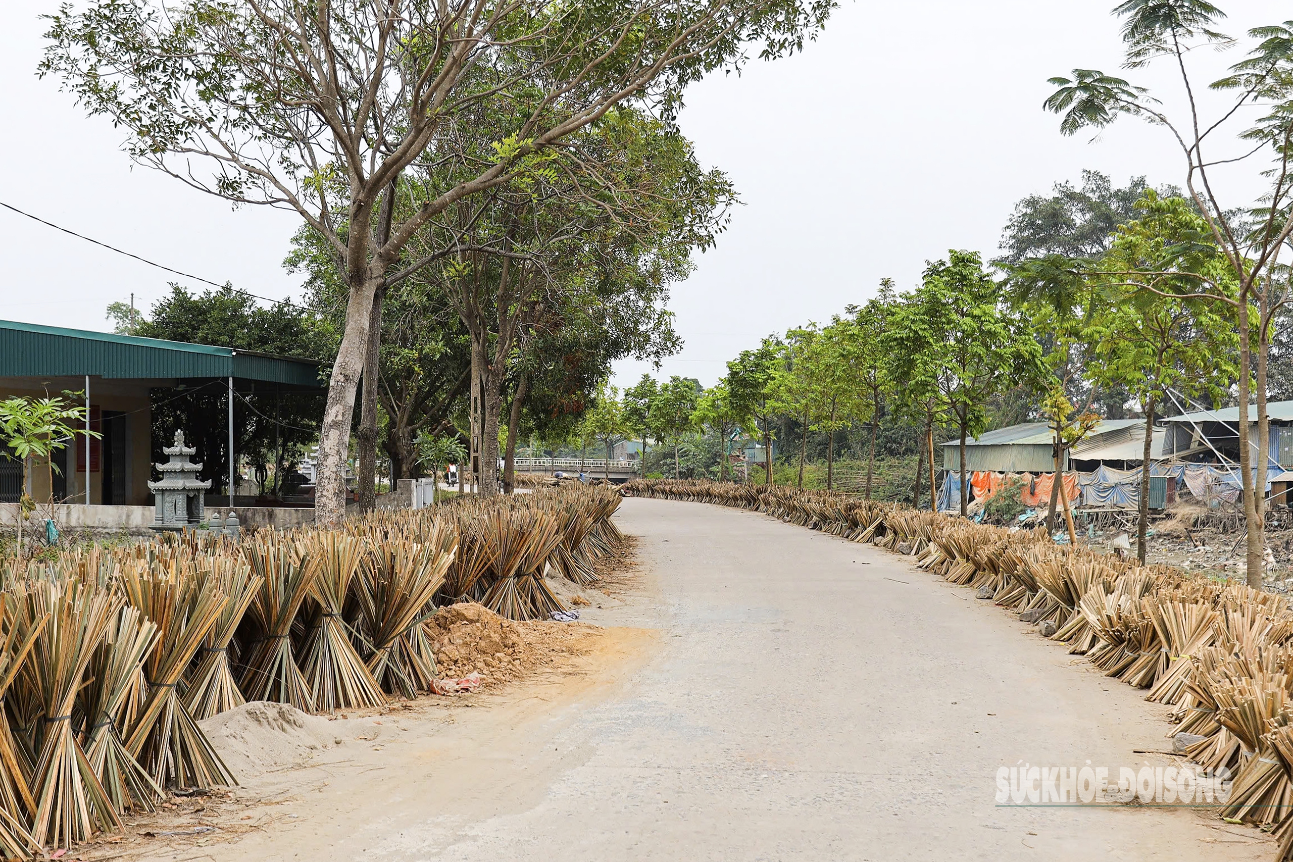 Người dân Quảng Phú Cầu tất bật làm hương cho vụ Tết- Ảnh 2.