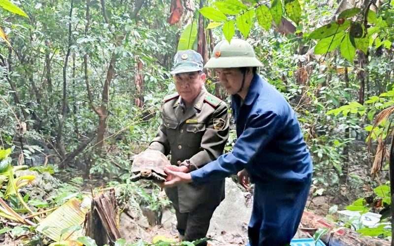 Tái thả nhiều động vật hoang dã quý hiếm về tự nhiên