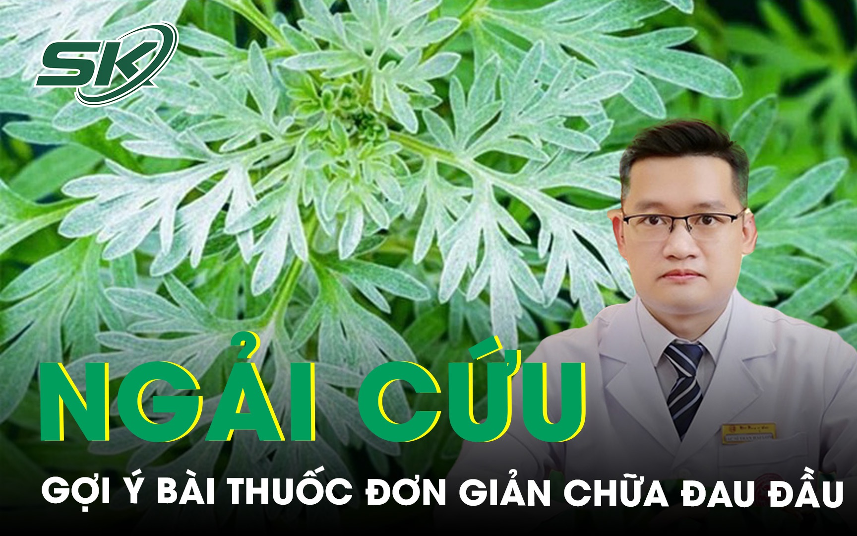 Gợi ý bài thuốc đơn giản với lá ngải cứu để chữa đau đầu