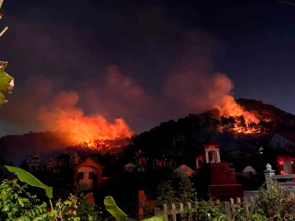 Thông tin vụ cháy tại núi Sơn Đào chiều tối mồng 3 Tết - Ảnh 2.