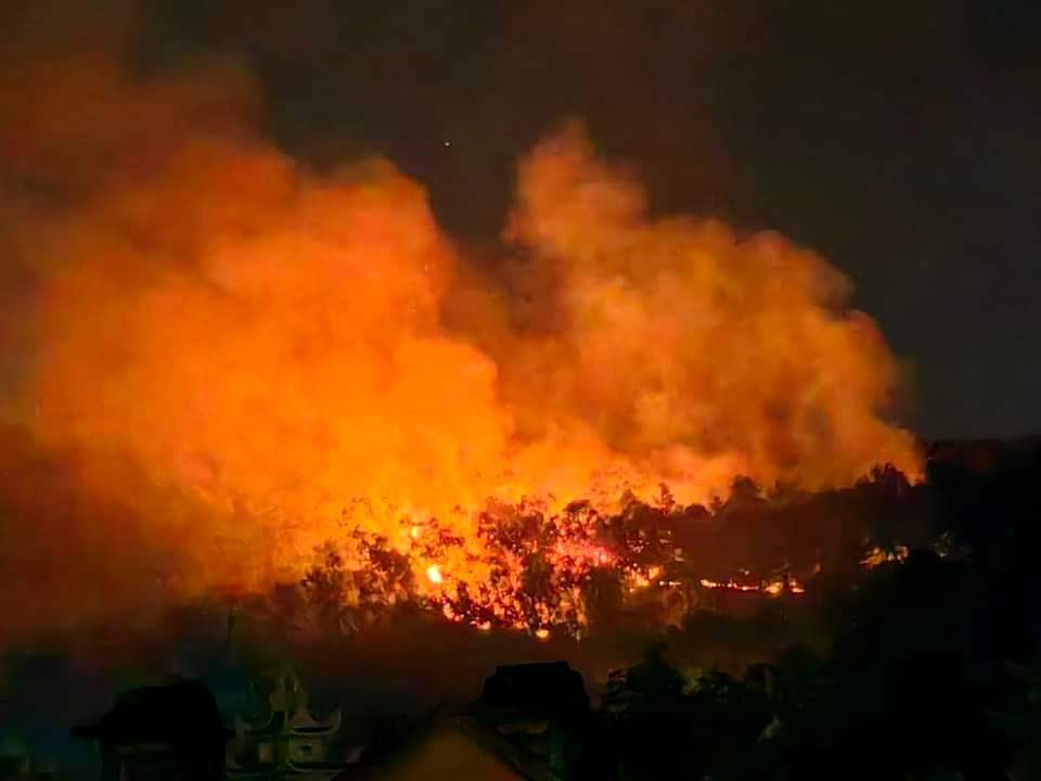 Thông tin vụ cháy tại núi Sơn Đào chiều tối mồng 3 Tết - Ảnh 1.