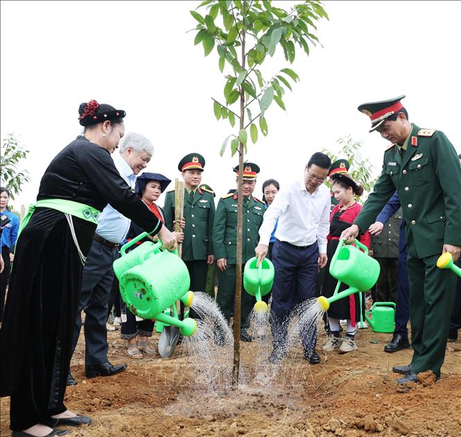 Chủ tịch nước dự Lễ phát động Tết trồng cây 'Đời đời nhớ ơn Bác Hồ'- Ảnh 5.