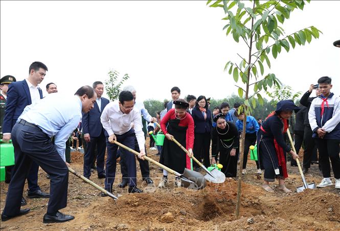 Chủ tịch nước dự Lễ phát động Tết trồng cây 'Đời đời nhớ ơn Bác Hồ'- Ảnh 4.