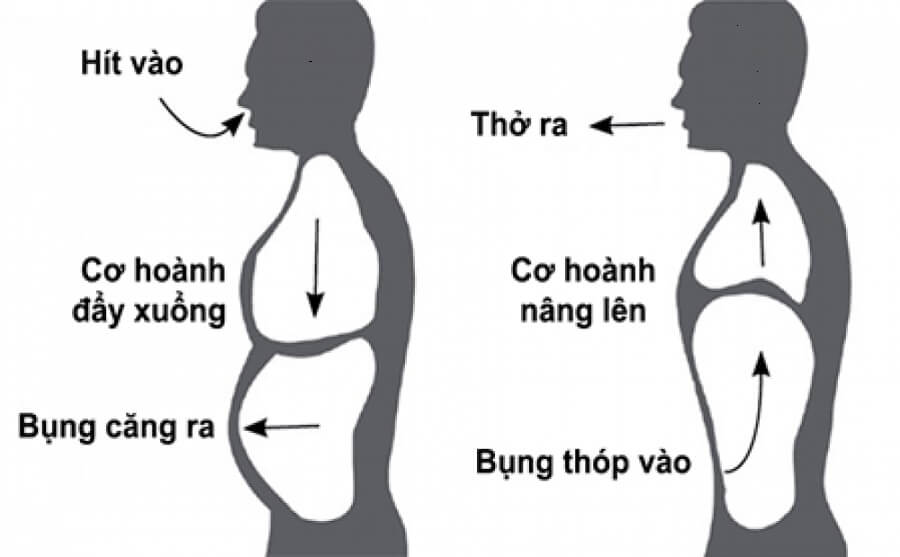 Thở cơ hoành – Bài tập quan trọng giúp phục hồi chức năng hô hấp