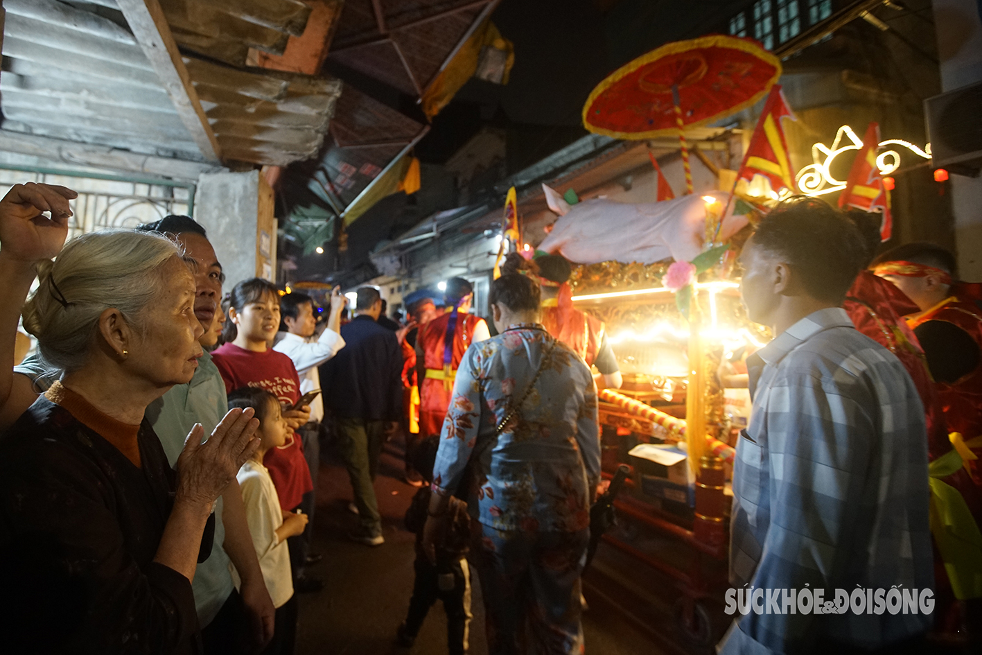 Trẻ em ở Hà Nội ngồi lên cổ người lớn xem rước lợn bằng kiệu hoa- Ảnh 11.