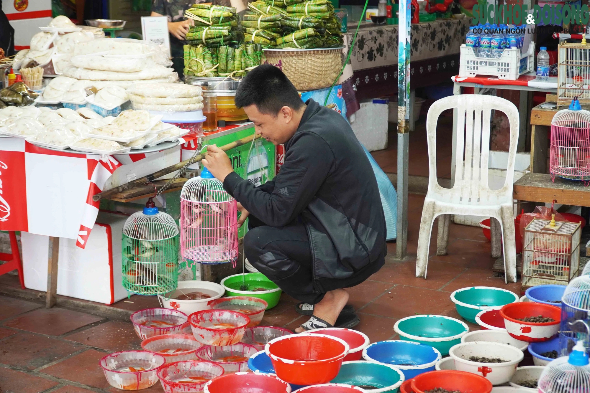 Nhộn nhịp đồ phóng sinh ngày rằm tháng Giêng tại các đền, chùa Hà Nội- Ảnh 11.