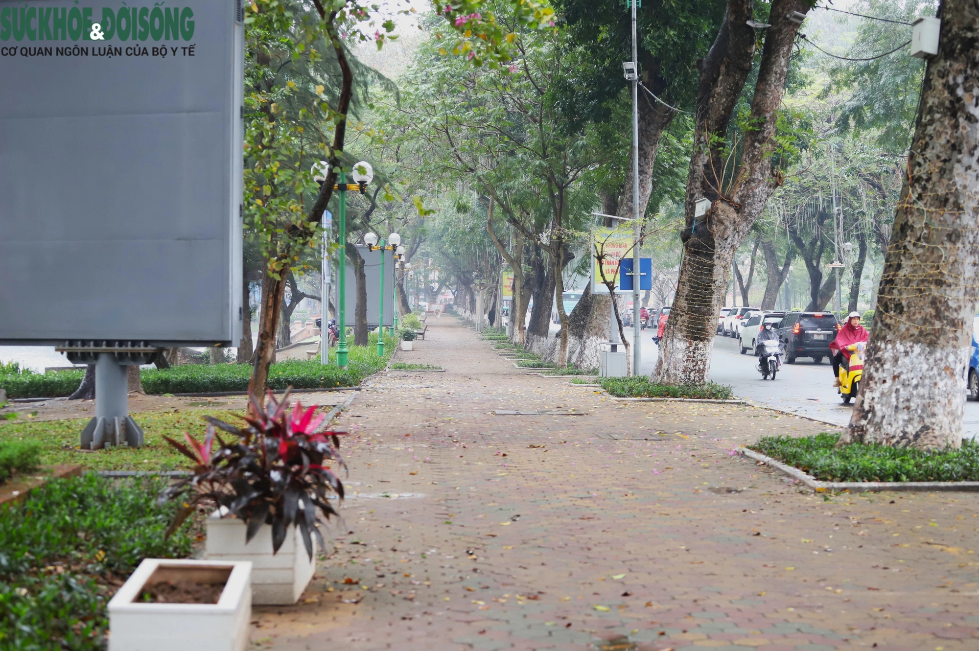 Hiện trạng khu vực hồ ở Hà Nội được đề xuất xây dựng 5 quảng trường- Ảnh 3.