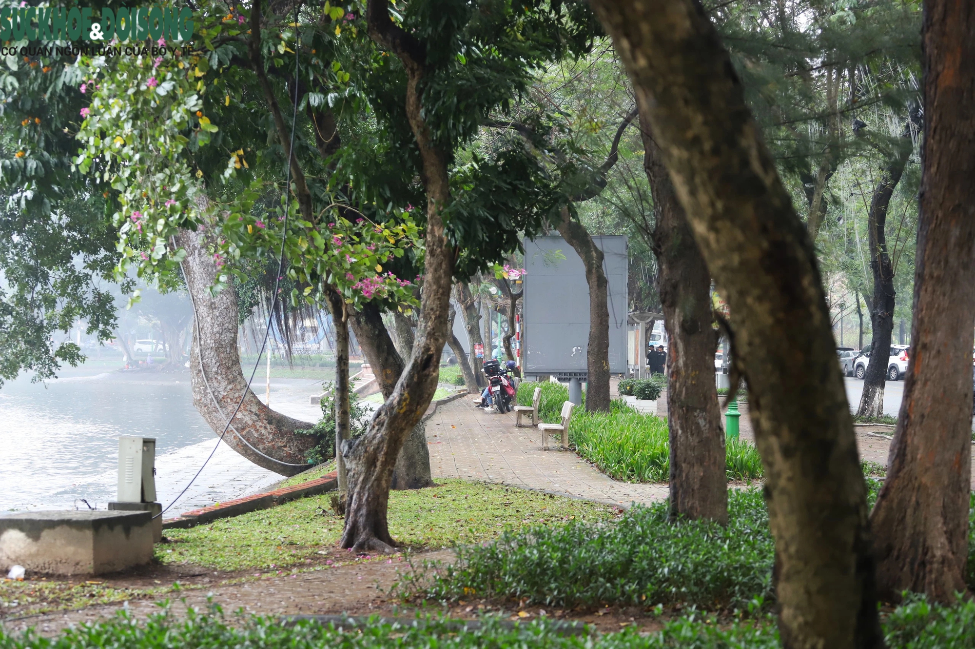 Hiện trạng khu vực hồ ở Hà Nội được đề xuất xây dựng 5 quảng trường- Ảnh 4.