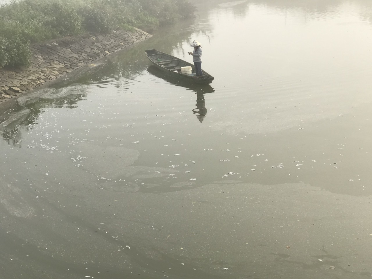 Bất ngờ nguyên nhân cá chết nổi trắng mặt nước nhánh sông Sa Lung- Ảnh 2.