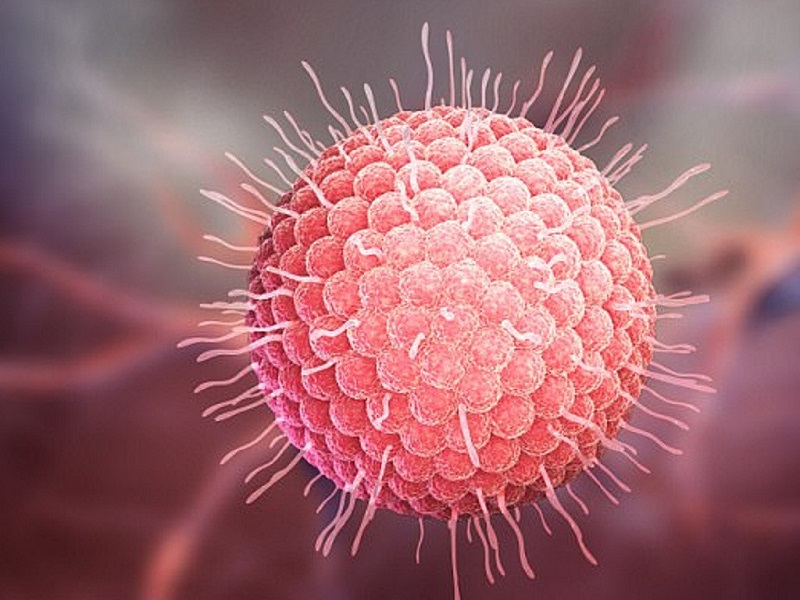 Mùa xuân cảnh giác với bệnh thủy đậu