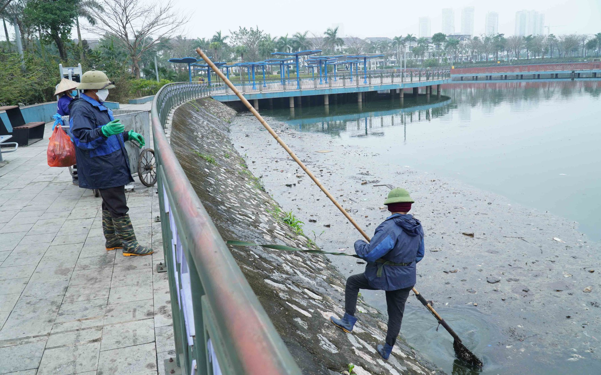 Lượng lớn cá chết bất thường trong công viên Thiên Văn Học