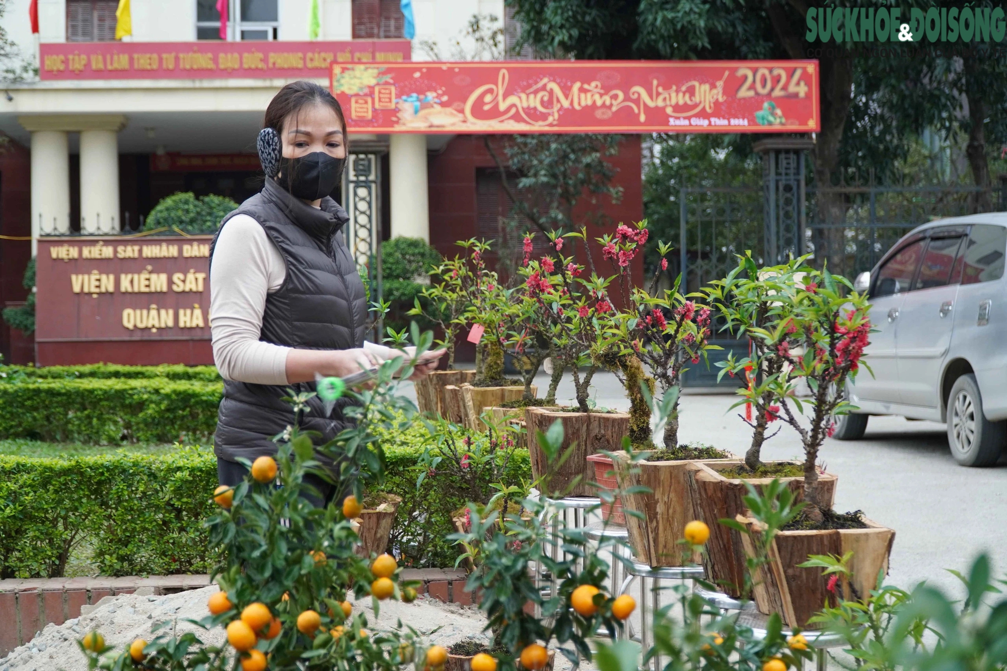 Tiểu thương Hà Nội ngậm ngùi bỏ lại cây nếu không bán hết trước 30 Tết- Ảnh 3.