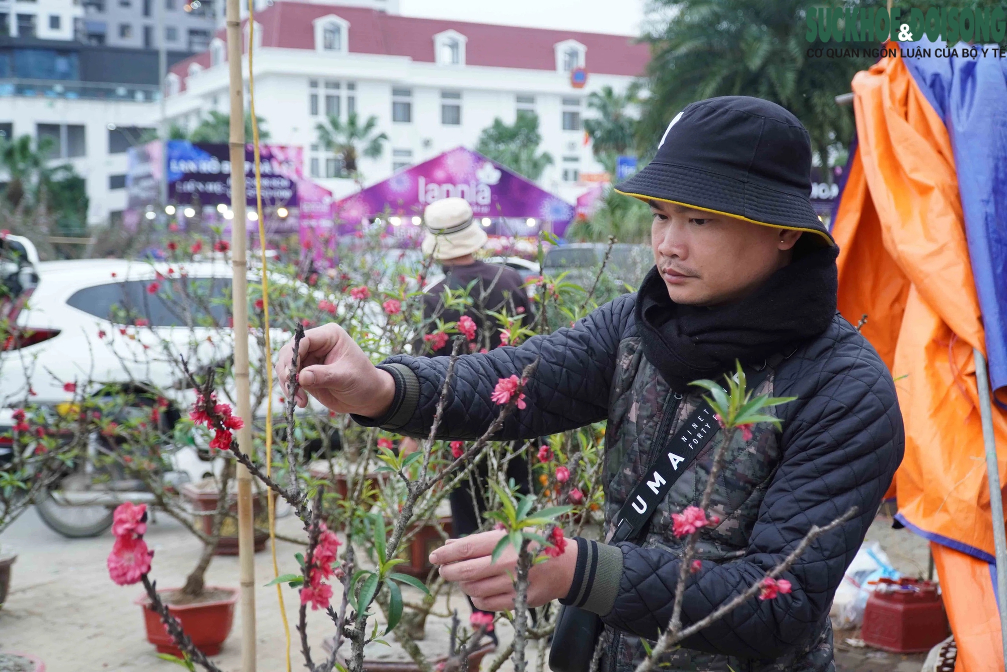 Tiểu thương Hà Nội ngậm ngùi bỏ lại cây nếu không bán hết trước 30 Tết- Ảnh 4.