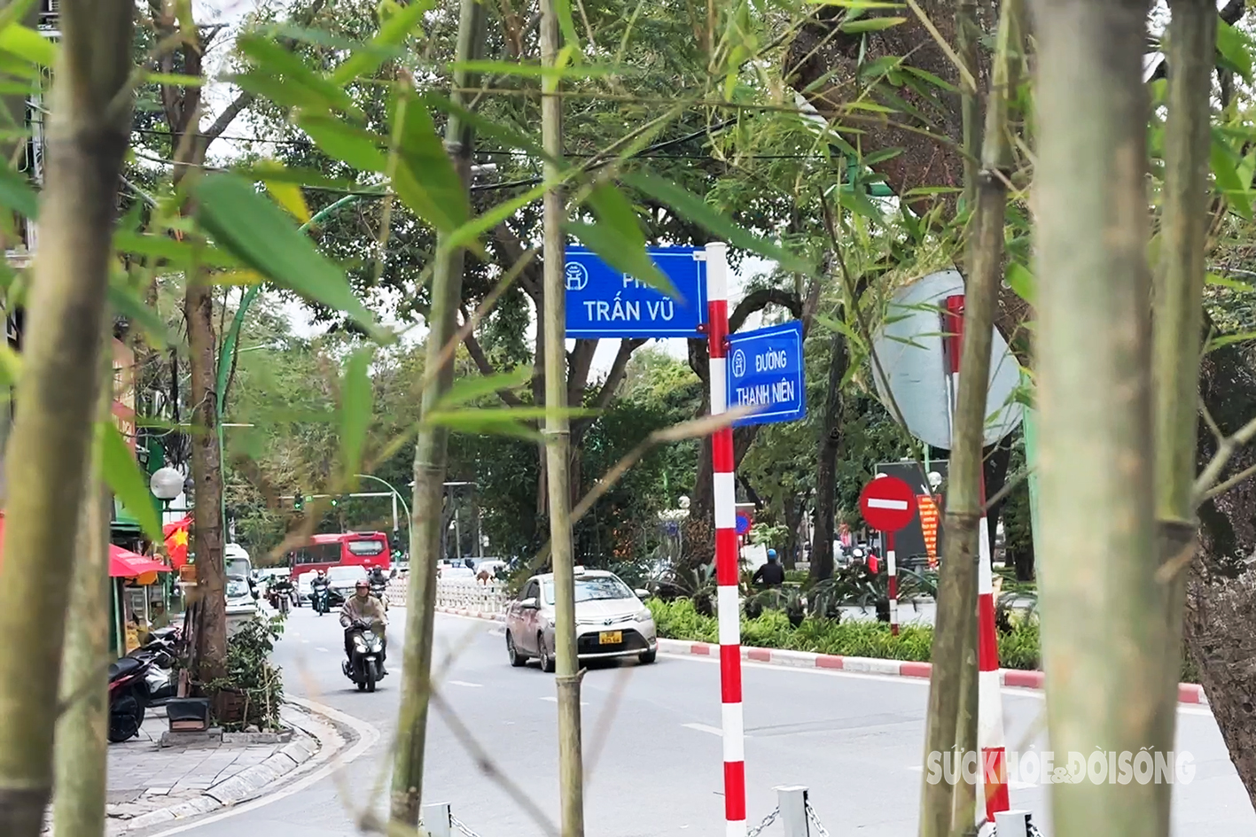 Rừng trúc xanh ngát giữa Thủ đô khiến du khách nước ngoài ngỡ ngàng- Ảnh 2.