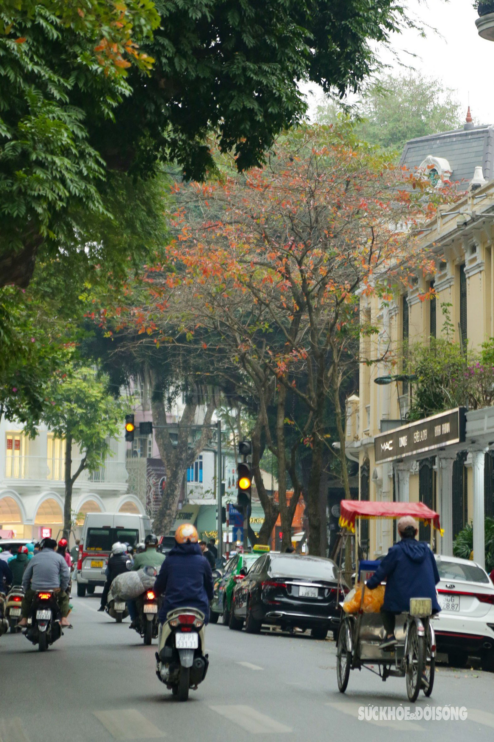 Khi tiết trời tháng 3 chuyển mình, cũng là lúc nhiều con phố tại Hà Nội lại bước vào mùa thay lá, trên những tán lá xen lẫn sắc vàng, đỏ, khiến cho khung cảnh trở nên lung linh đầy sắc màu. Người đi đường xuýt xoa, chiêm ngưỡng trước cảnh sắc lãng mạn ấy.