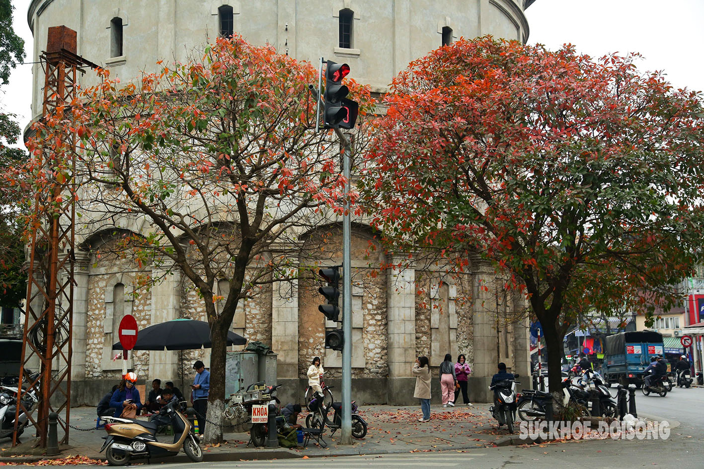 Nhiều du khách đến đây chụp ảnh lưu giữ lại những khoảnh khắc đẹp nhất của Hà Nội mùa thay lá.
