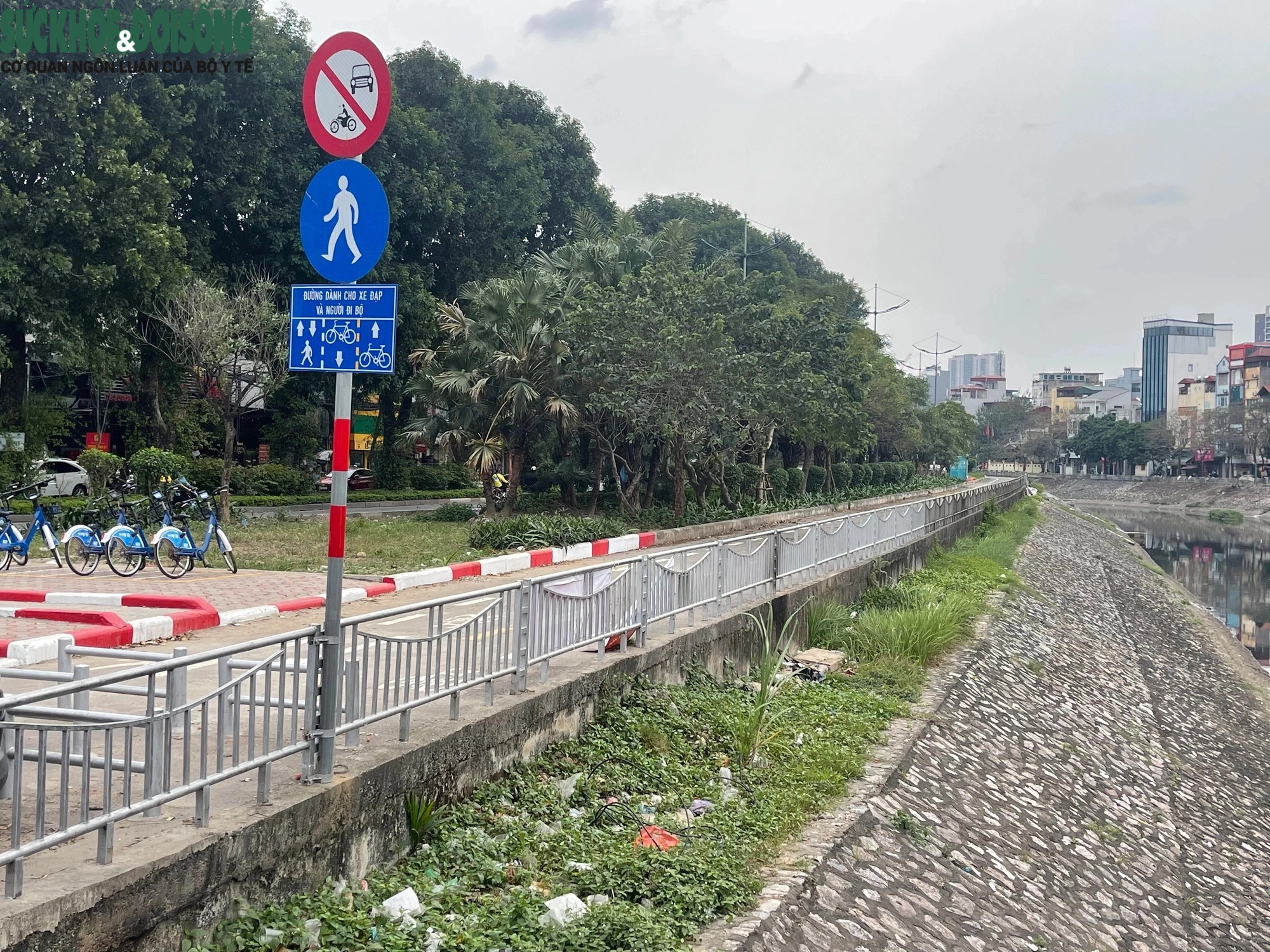 Hà Nội: Vắng lặng tại đường dành riêng cho xe đạp sau 1 tháng thông tuyến- Ảnh 1.
