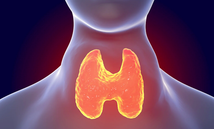 Mắc Basedow có mang thai được không, cần làm gì khi phát hiện có thai?- Ảnh 2.