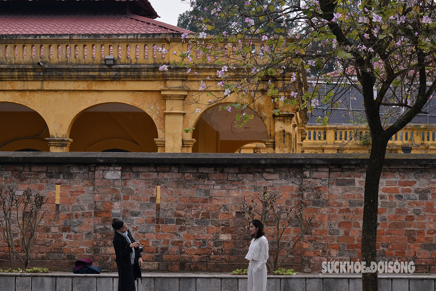 Chị em Hà Nội xúng xính váy áo check-in cùng hoa ban Tây Bắc- Ảnh 4.