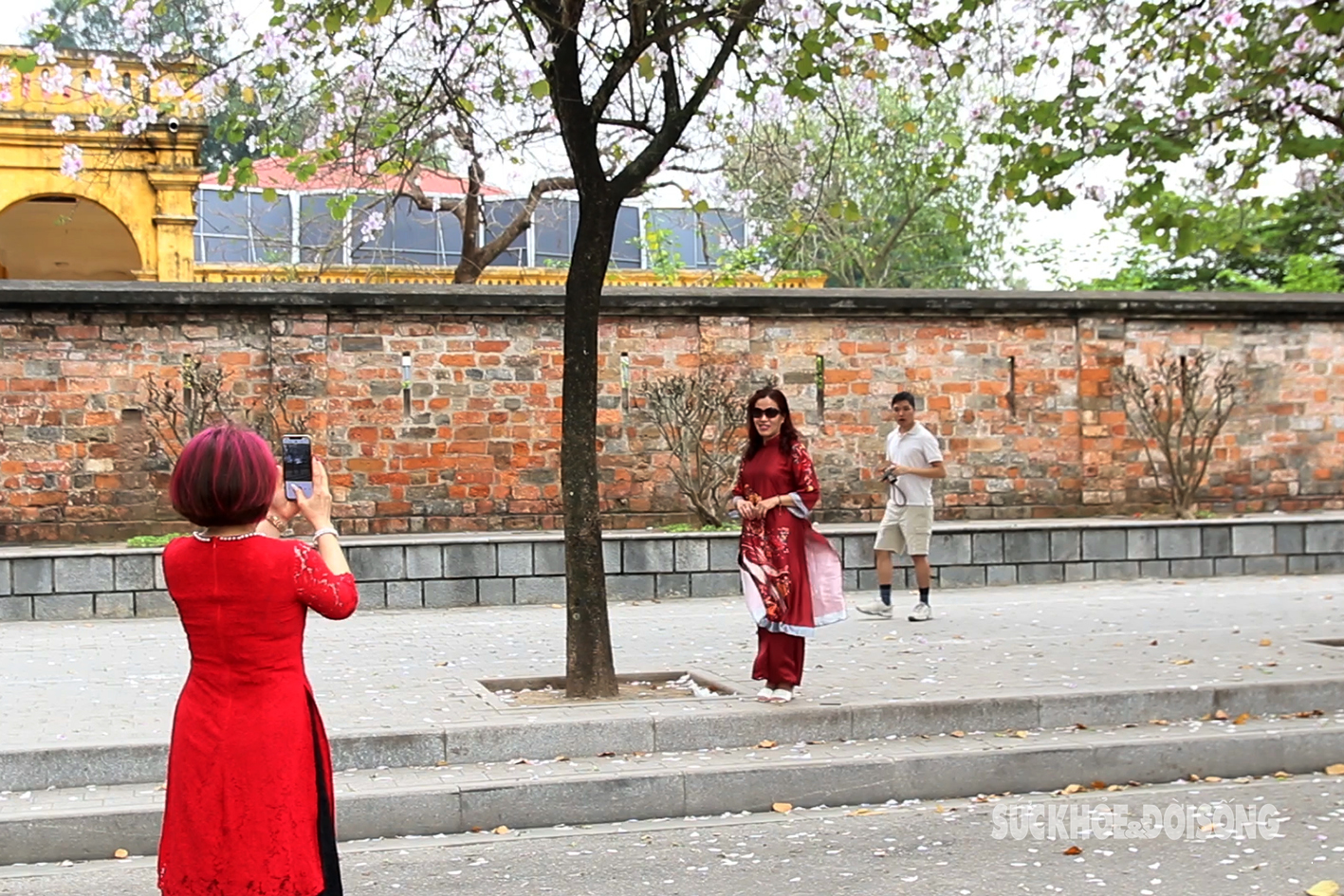 Chị em Hà Nội xúng xính váy áo check-in cùng hoa ban Tây Bắc- Ảnh 5.