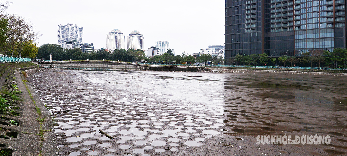 Vì sao ao, đầm quanh Hồ Tây cạn trơ đáy?- Ảnh 3.