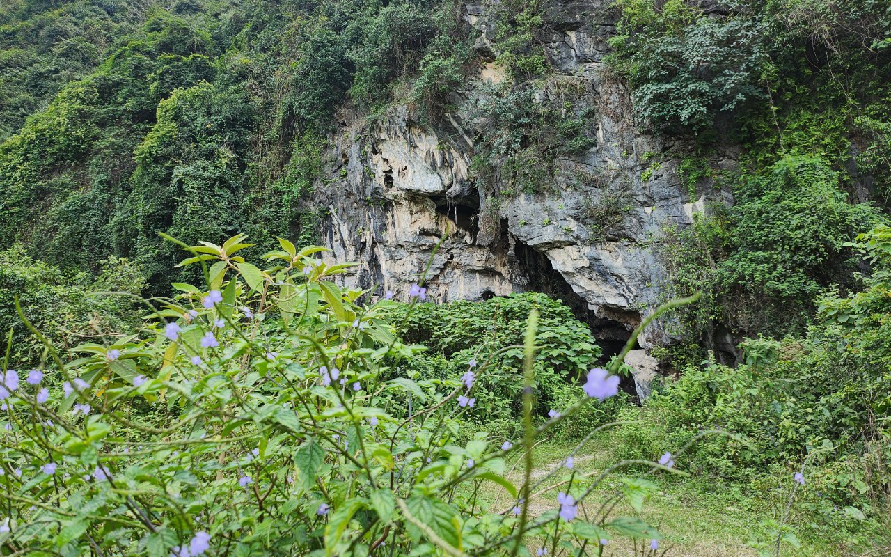 Di chỉ khảo cổ học quốc gia Đồng Trương bị lãng quên