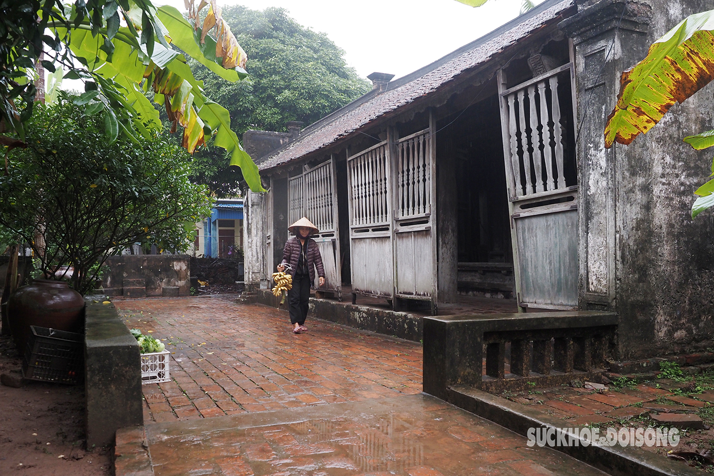 Khám phá 'dinh cơ' Bá Kiến hơn 100 tuổi ở làng Vũ Đại- Ảnh 1.