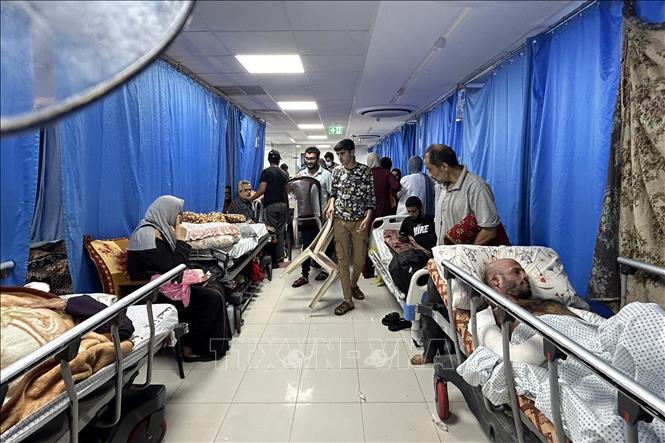 Khoảng 9.000 bệnh nhân ở Dải Gaza cần được chăm sóc khẩn cấp- Ảnh 1.