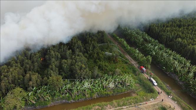 Cháy rừng tại Nông trường 402: Có dấu hiệu lan sang khu vực 100 ha liền kề