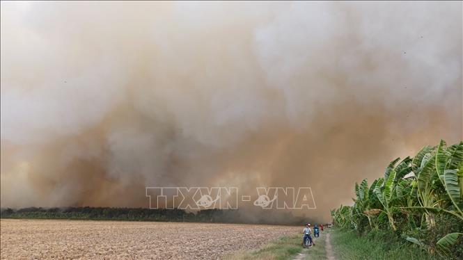 Cháy rừng tại Nông trường 402: Có dấu hiệu lan sang khu vực 100 ha liền kề- Ảnh 2.