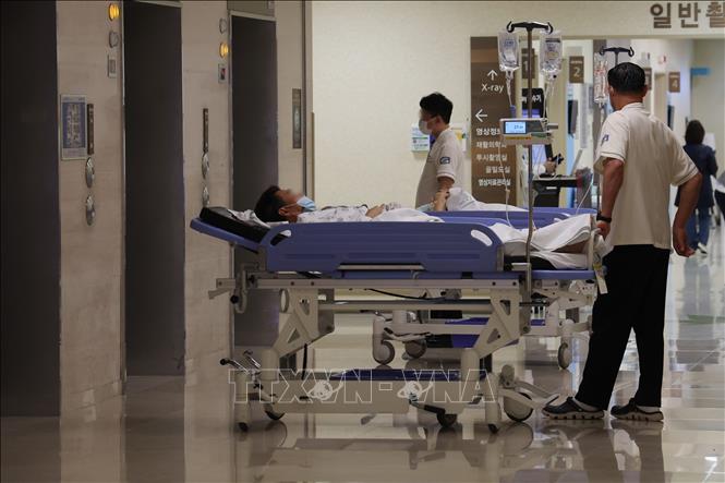 Hàn Quốc: Bổ sung trên 2.700 trợ lý bác sĩ để ứng phó với khủng hoảng y tế- Ảnh 1.