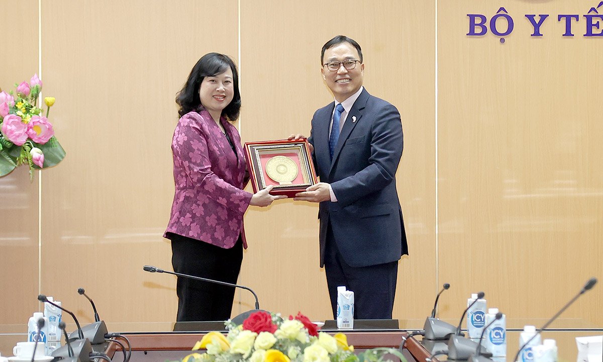 Tiếp tục tăng cường quan hệ hợp tác về y tế giữa Việt Nam - Hàn Quốc- Ảnh 4.