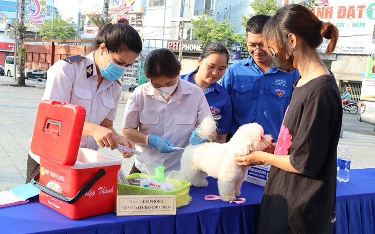 Bình Dương không để tử vong do bệnh dại