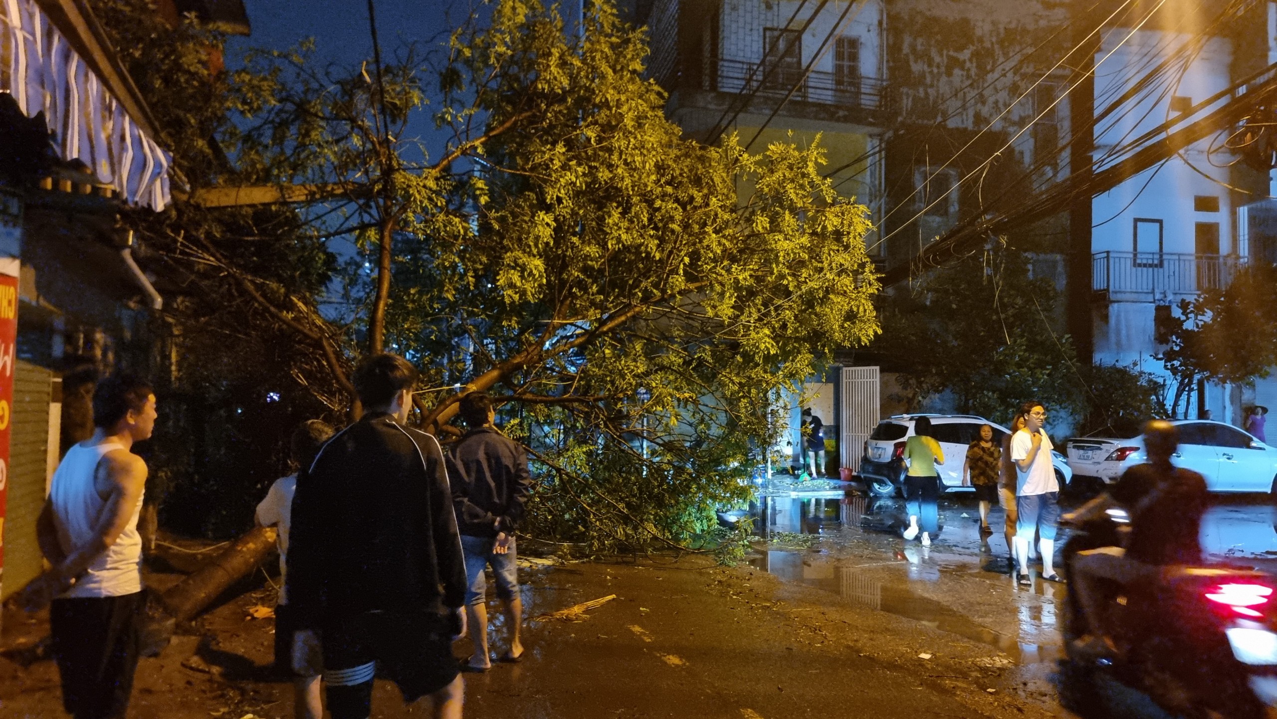 Loạt cây xanh ở Hà Nội ngã đổ sau trận mưa lớn- Ảnh 6.