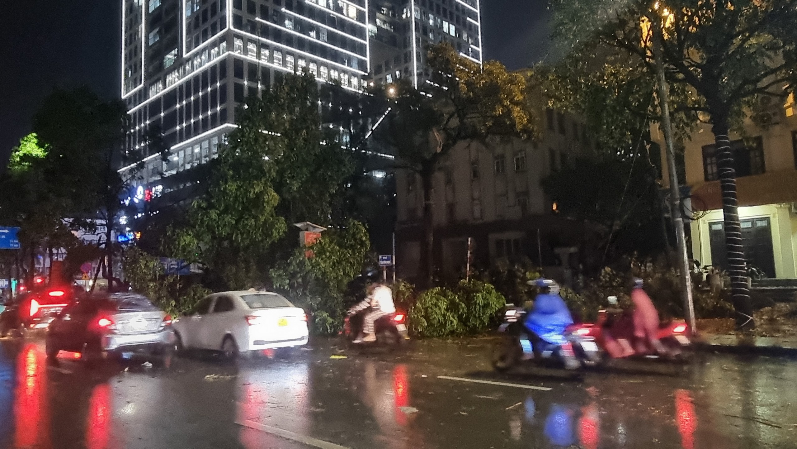 Loạt cây xanh ở Hà Nội ngã đổ sau trận mưa lớn- Ảnh 7.