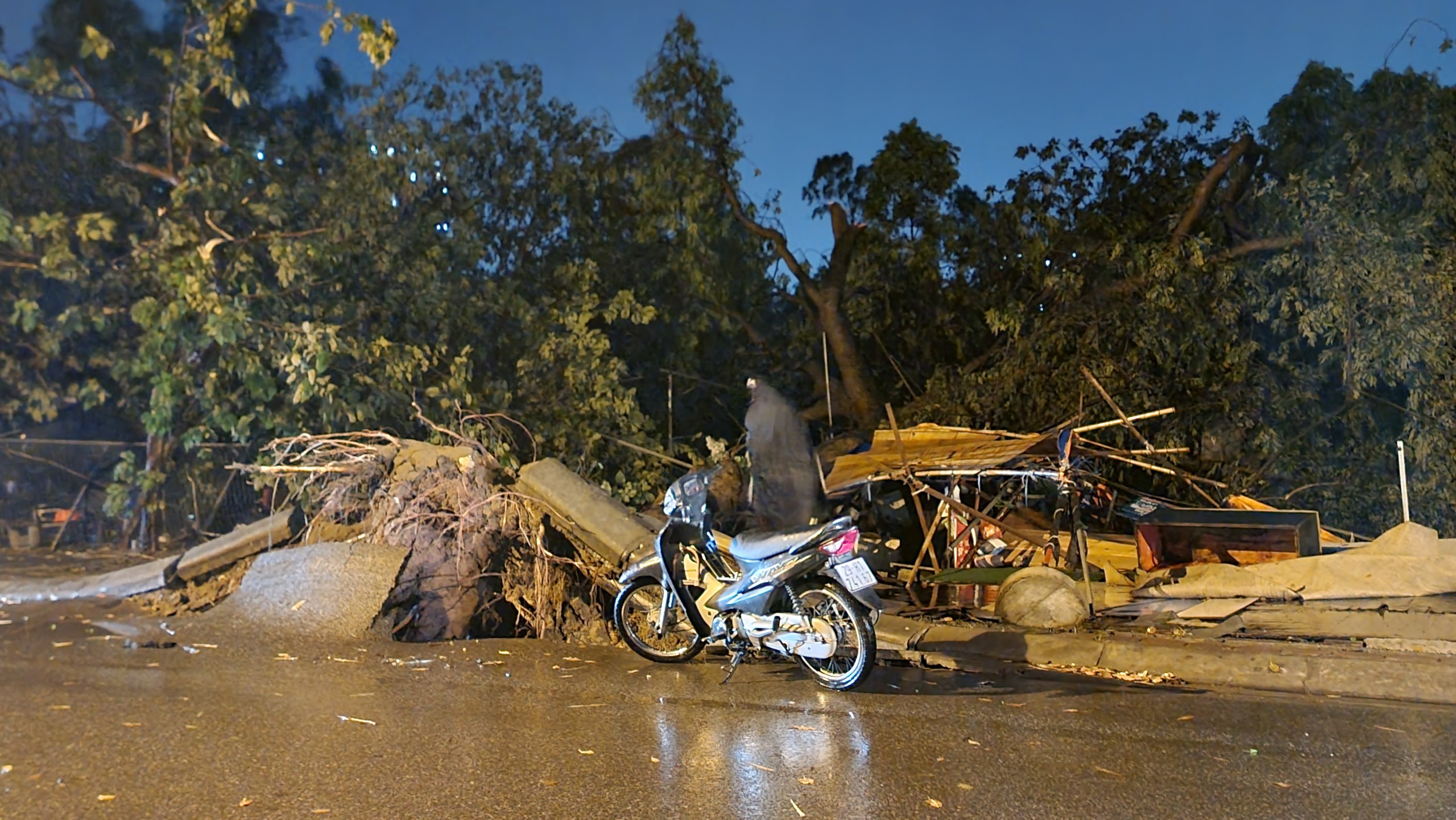 Loạt cây xanh ở Hà Nội ngã đổ sau trận mưa lớn- Ảnh 8.