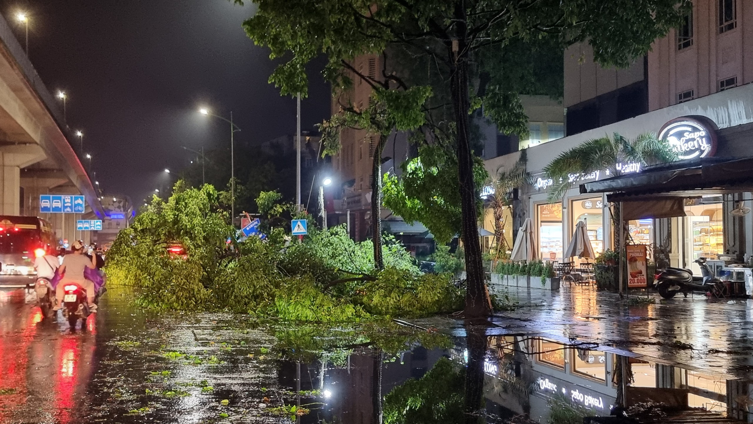 Loạt cây xanh ở Hà Nội ngã đổ sau trận mưa lớn- Ảnh 4.