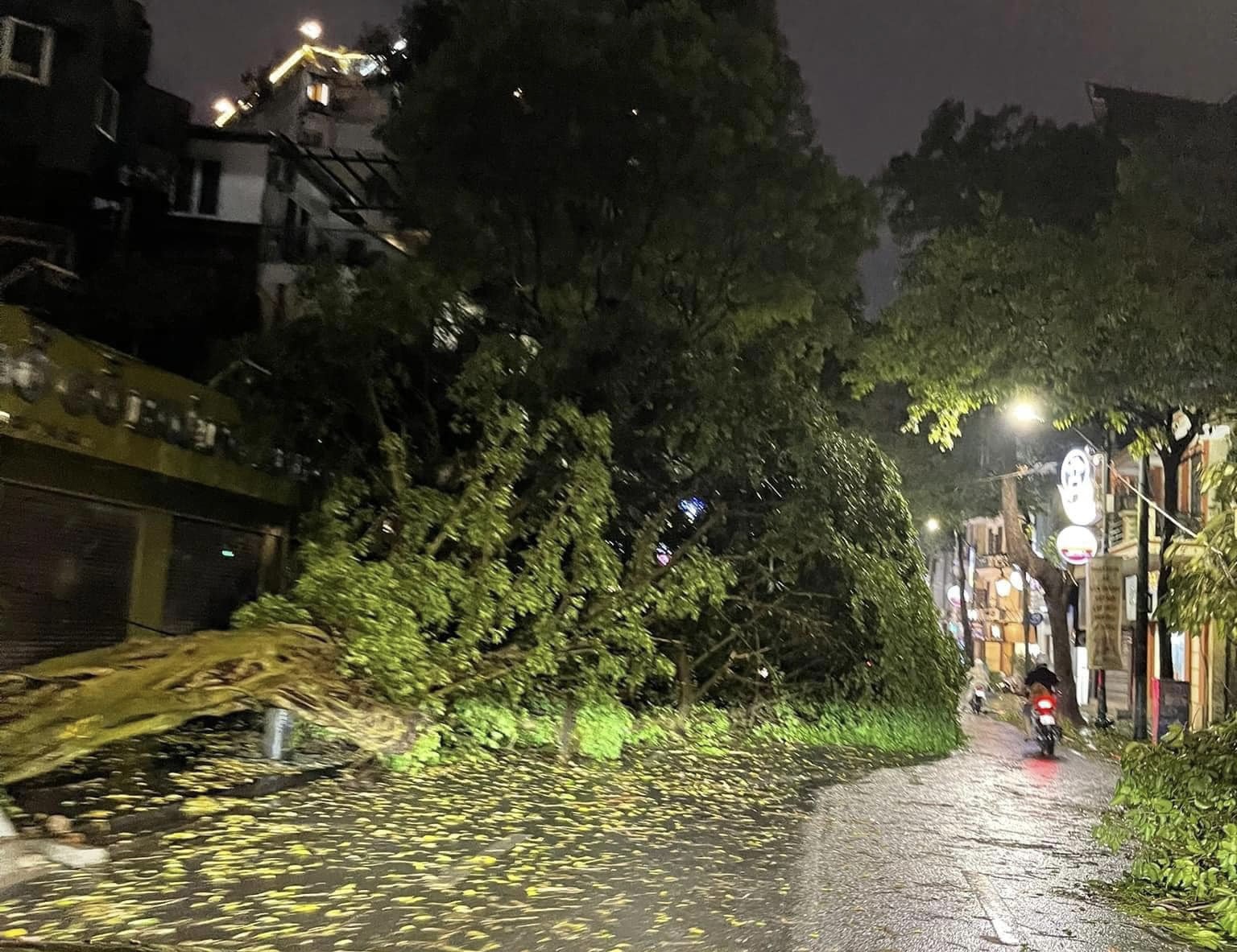 Loạt cây xanh ở Hà Nội ngã đổ sau trận mưa lớn- Ảnh 9.