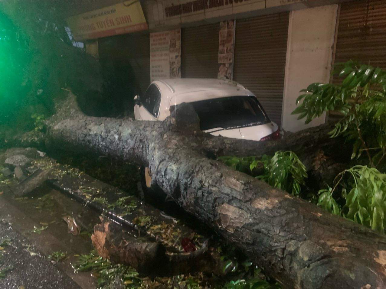 Loạt cây xanh ở Hà Nội ngã đổ sau trận mưa lớn- Ảnh 10.
