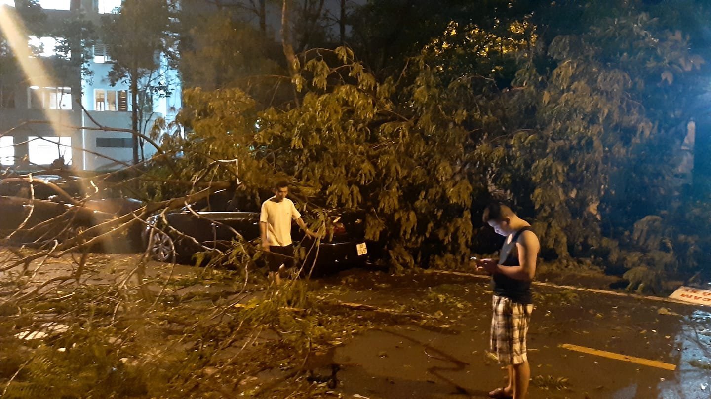 Loạt cây xanh ở Hà Nội ngã đổ sau trận mưa lớn- Ảnh 13.