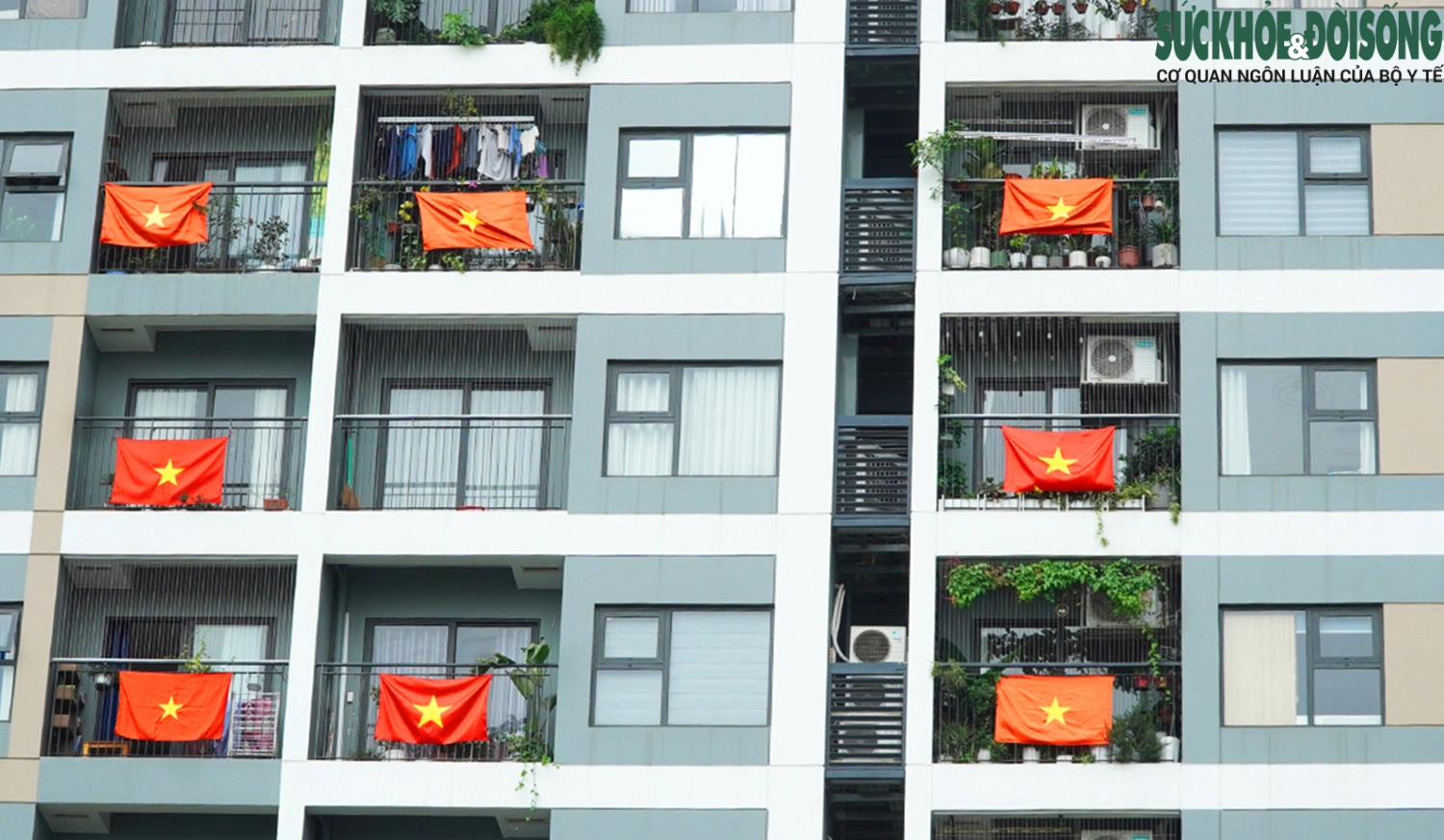 Chung cư ở Hà Nội đồng loạt treo cờ chào mừng Đại lễ- Ảnh 3.