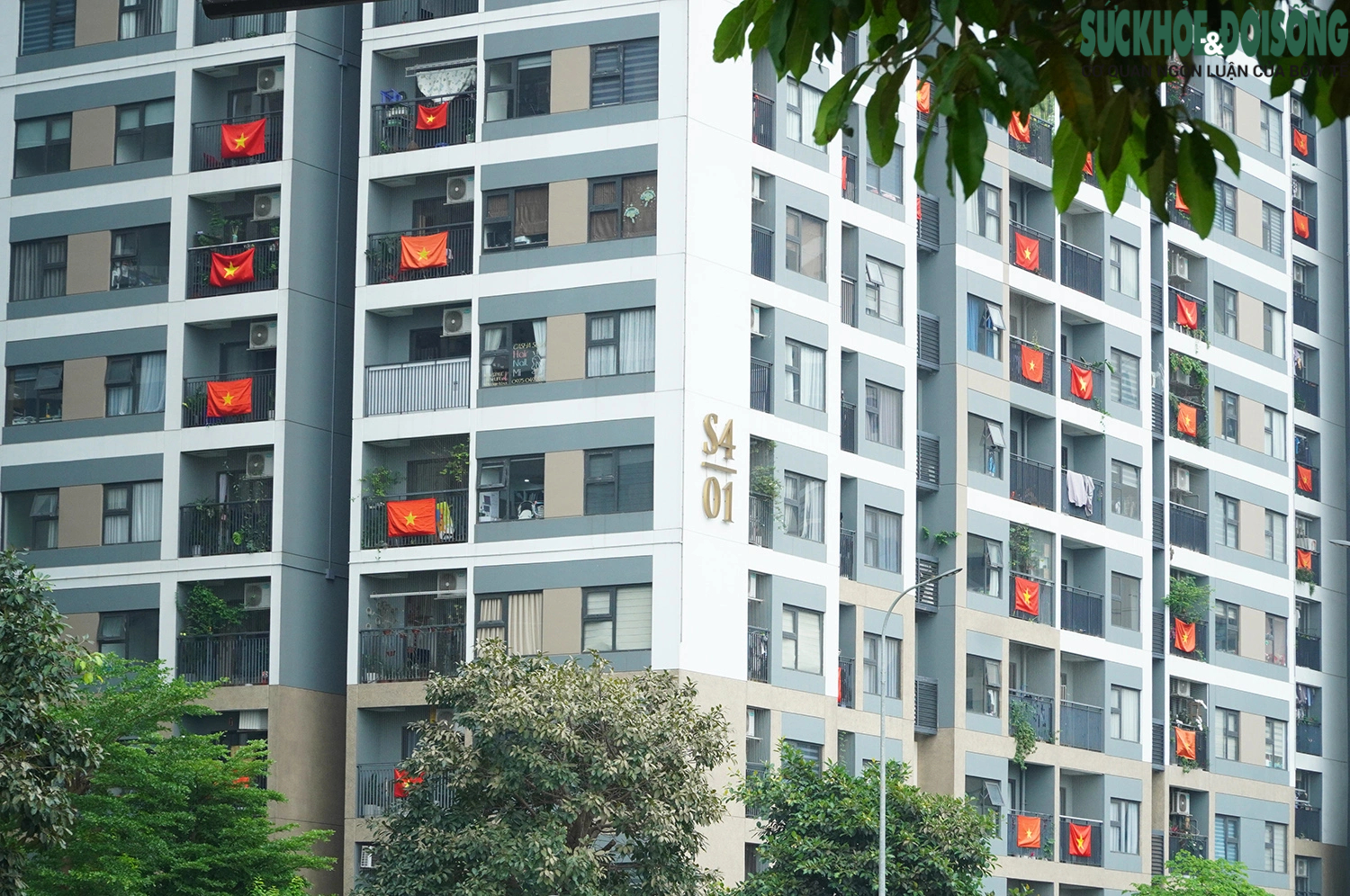 Chung cư ở Hà Nội đồng loạt treo cờ chào mừng Đại lễ- Ảnh 4.