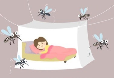 10 lời khuyên phòng ngừa, giảm nguy cơ mắc bệnh sốt rét- Ảnh 2.