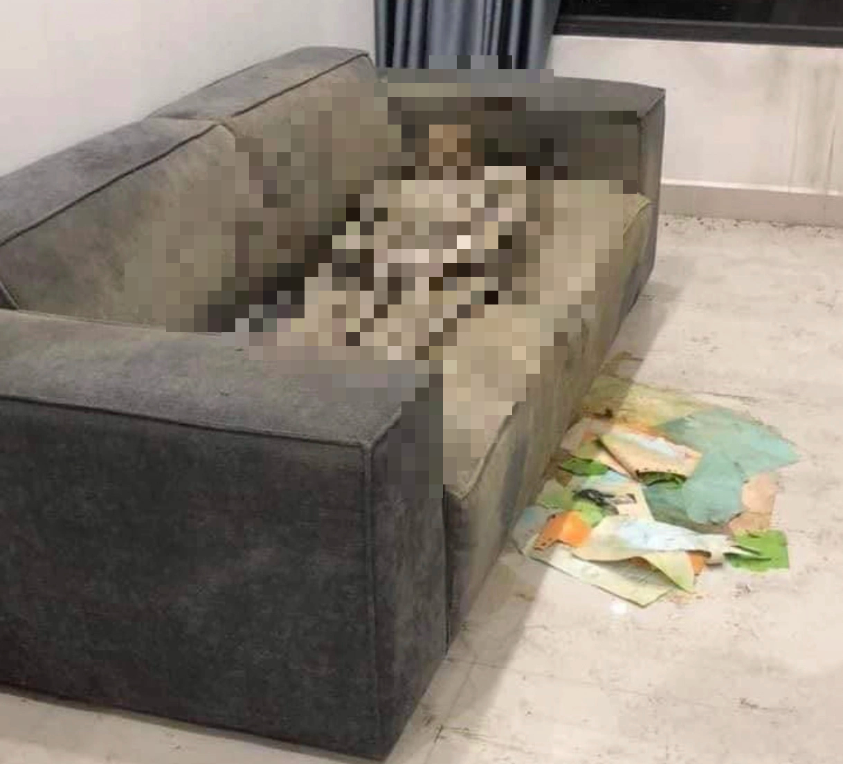 Thi thể nữ giới 'chết khô' trên sofa trong căn hộ chung cư
