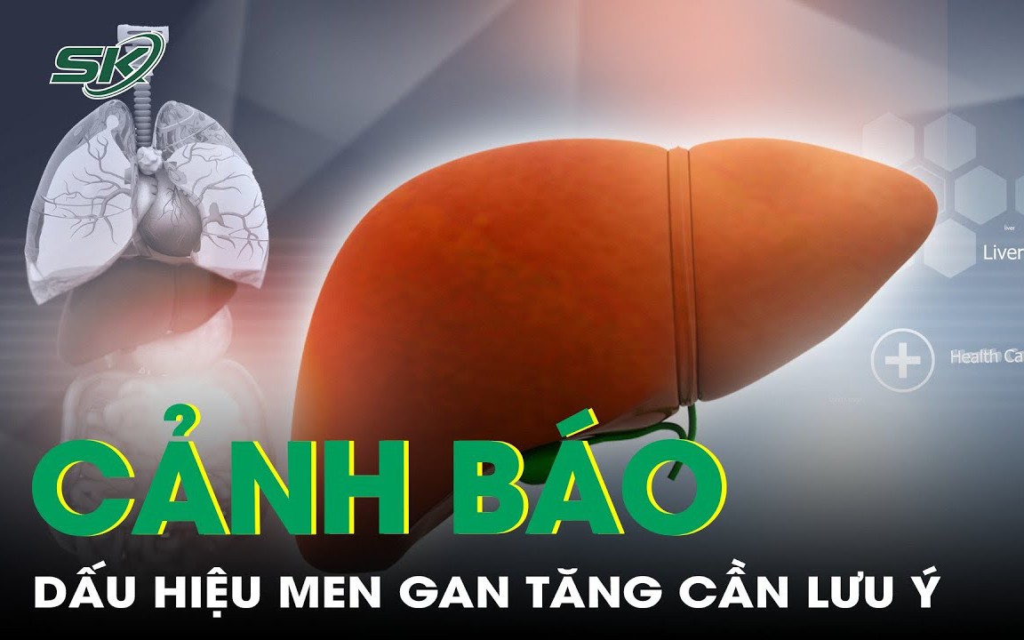 Cảnh báo dấu hiệu men gan tăng cần lưu ý