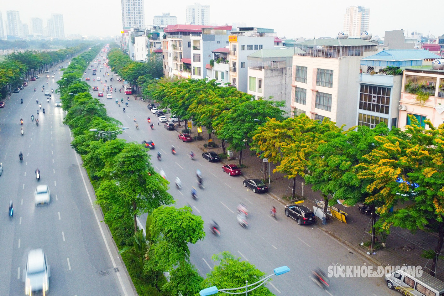 Hoa giáng hương ‘nhuộm’ vàng đường phố Hà Nội- Ảnh 1.